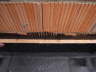 R0015418 Trichalet 2009-04-23