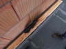 R0015429 Trichalet 2009-04-23